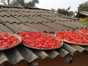 Shivapur Bardiya Nepal