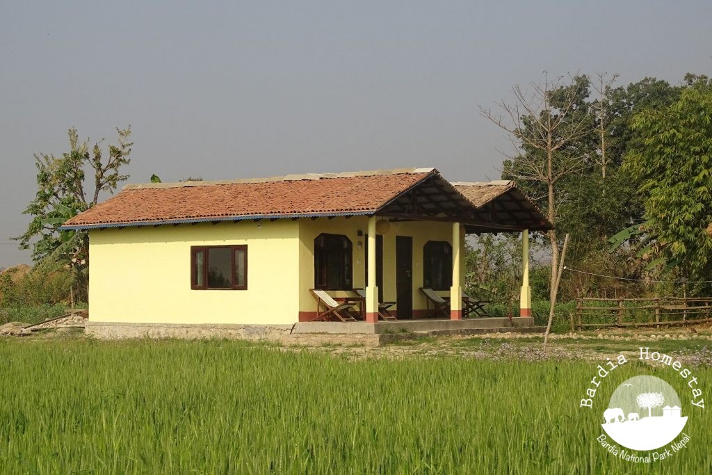 accommodation Bardia Homestay