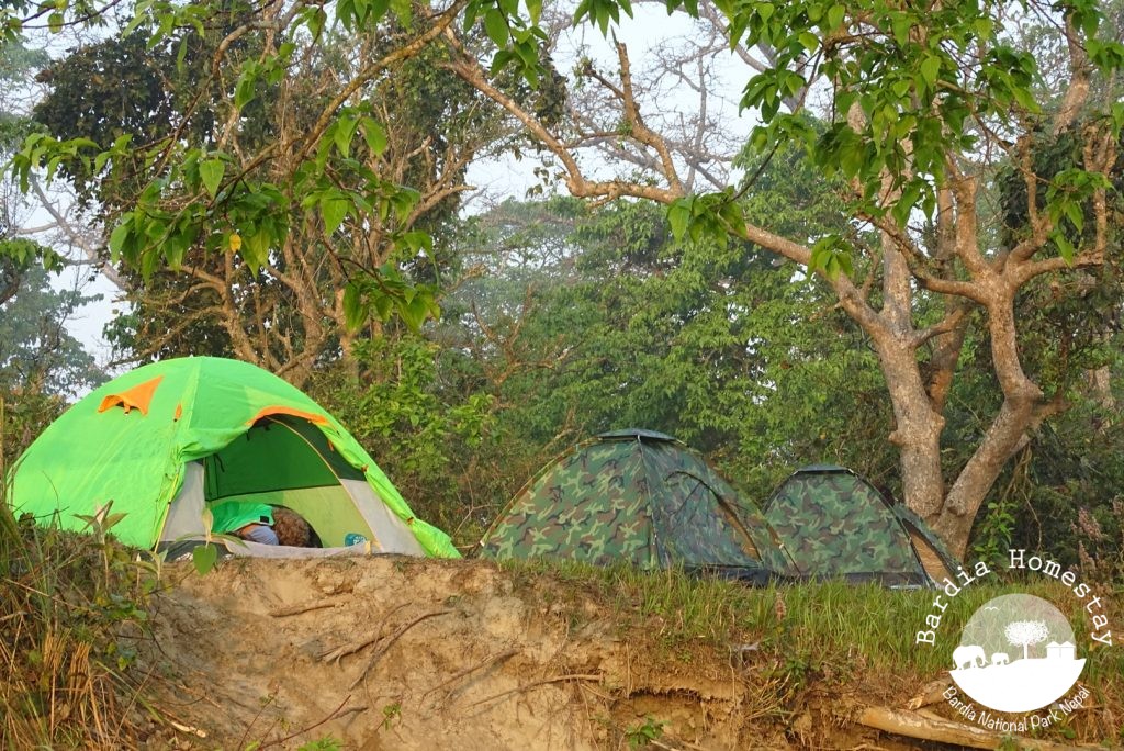 camping Babai Valley Bardia National Park