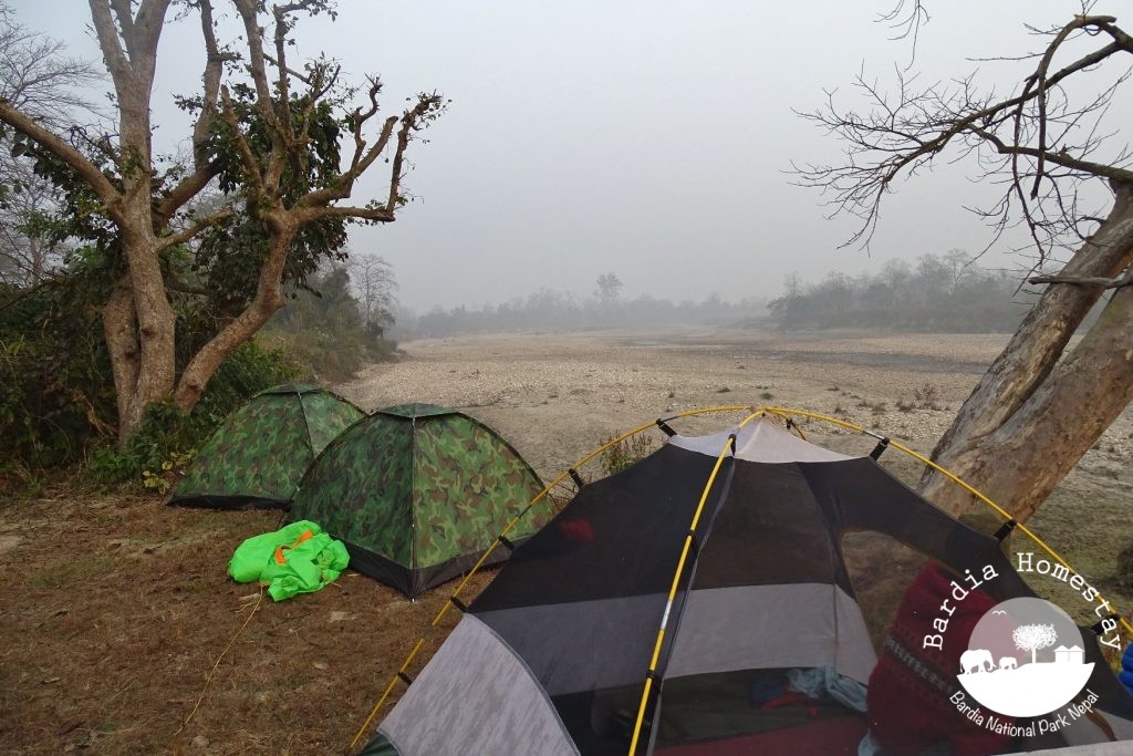 camping jungle bardia national park