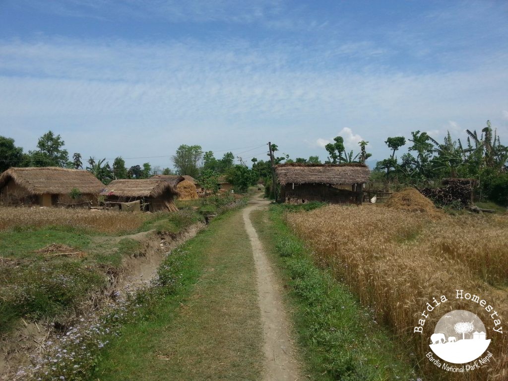 Countryside Bardia National Park