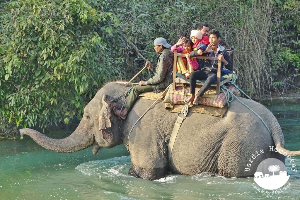 elephant safari Bardia National Park