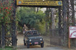 jeepsafari Shuklaphanta Wildlife Reserve