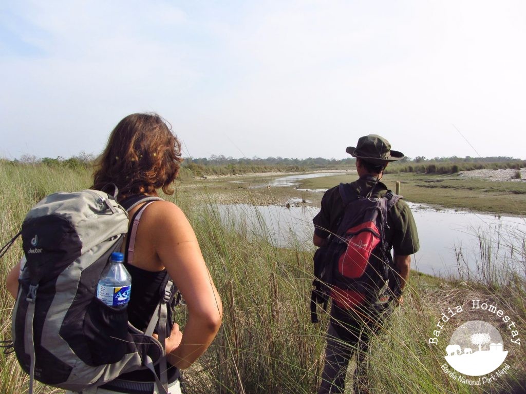jungle walk Bardia National Park