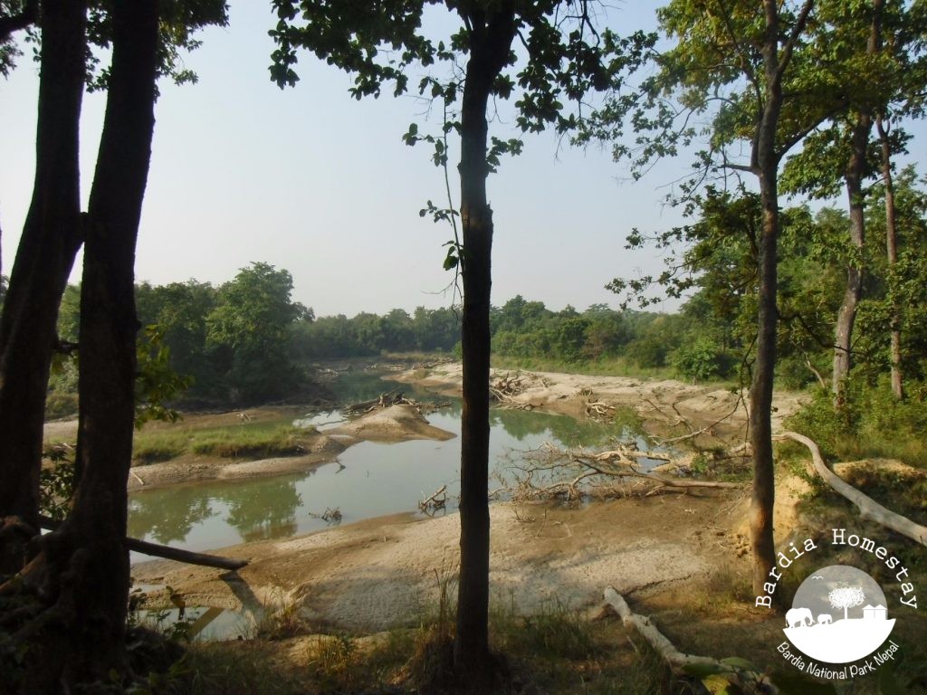 riverine forest Bardiya National Park