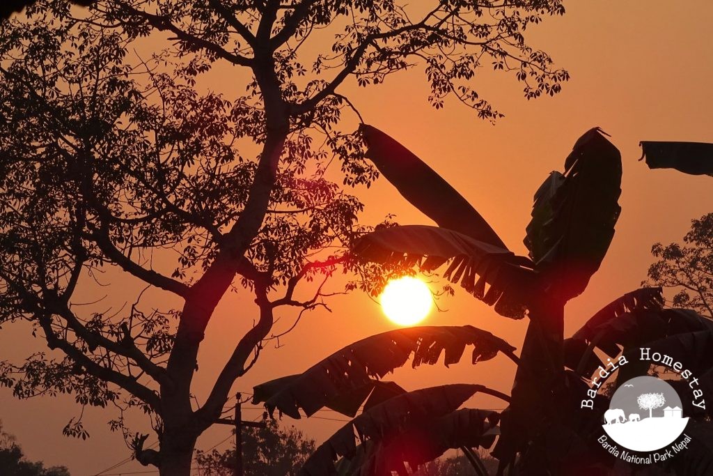 Sunset Bardia Homestay, Nepal