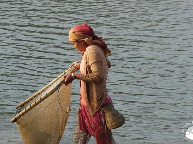 Tharu fishing Bardia Homestay