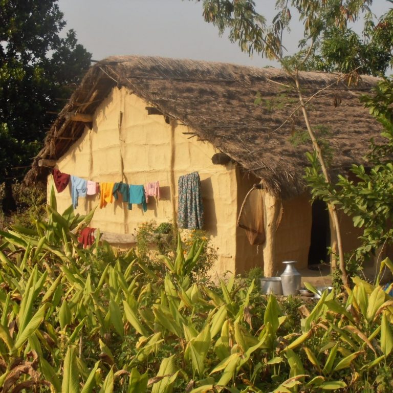 Tharu house countryside Bardia National Park Tharu house countryside Bardia National Park