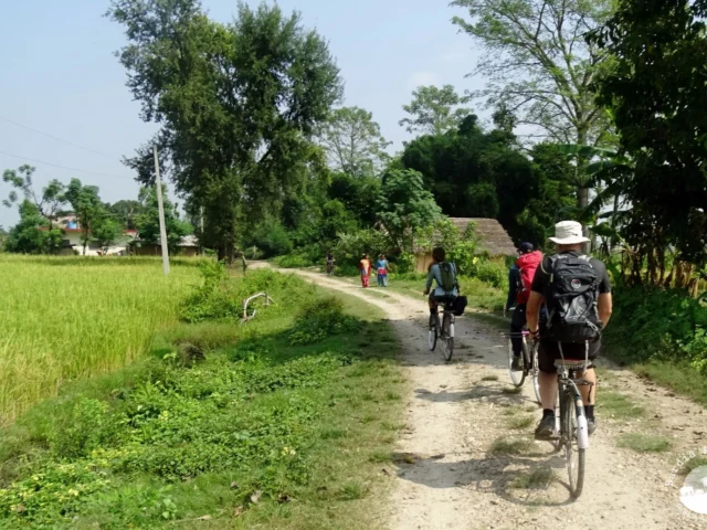 Bicycle tour countryside Bardia