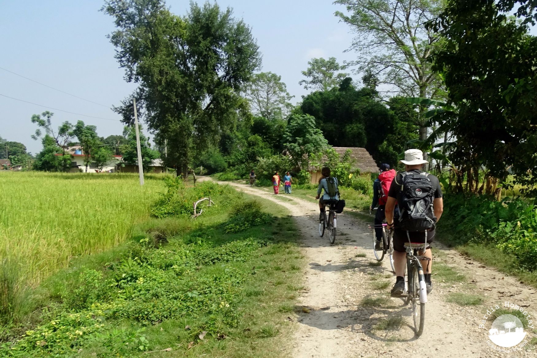 Bicycle tour countryside Bardia