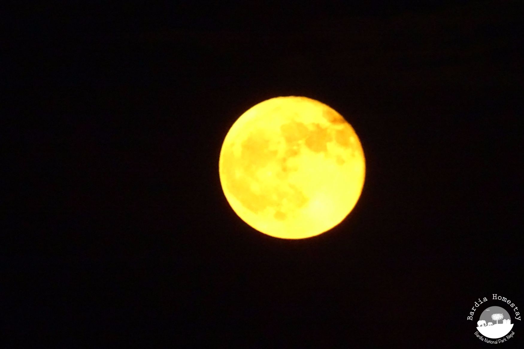 Moon Bardia National Park