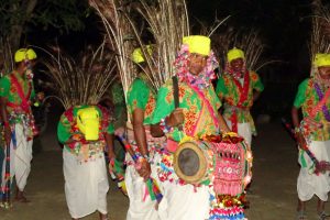 Tharu dancing Bardia Homestay