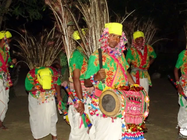 Tharu dancing Bardia Homestay