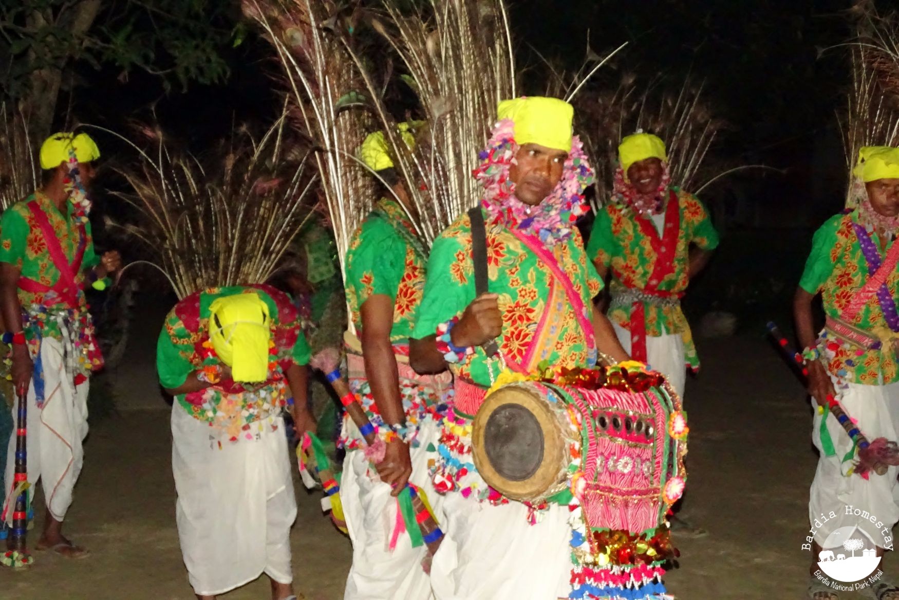 Tharu dancing Bardia Homestay