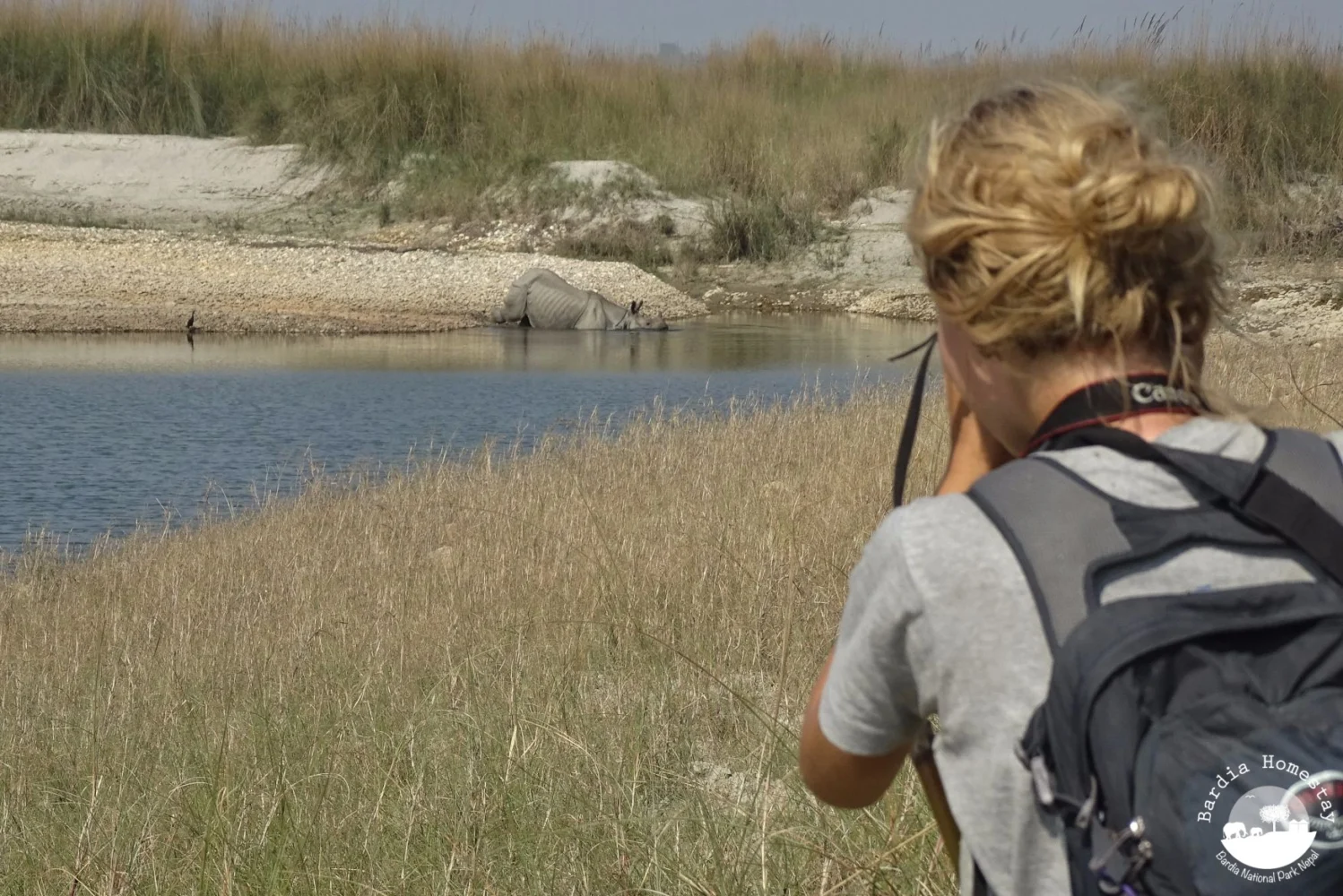 Jungle safari Bardia National Park