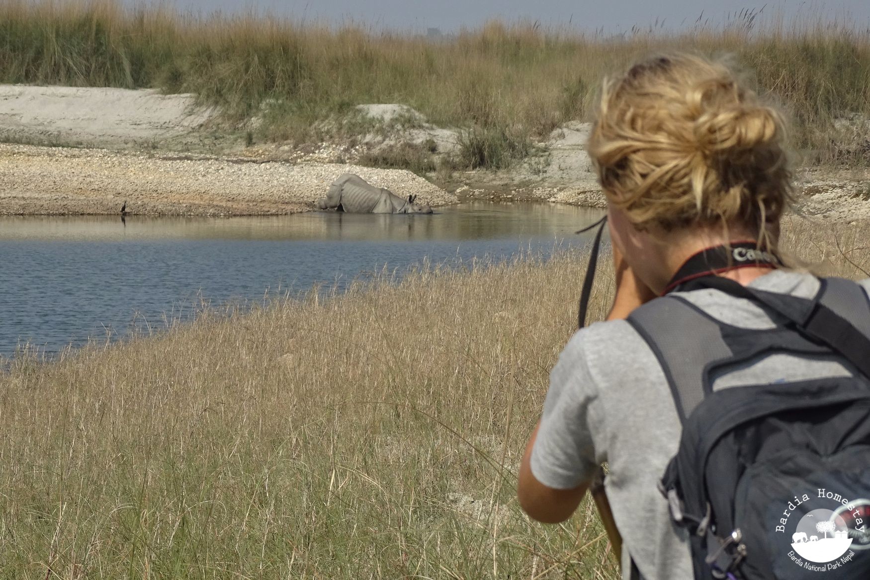 Jungle safari Bardia National Park