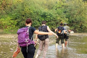 Jungle walk Bardia National Park