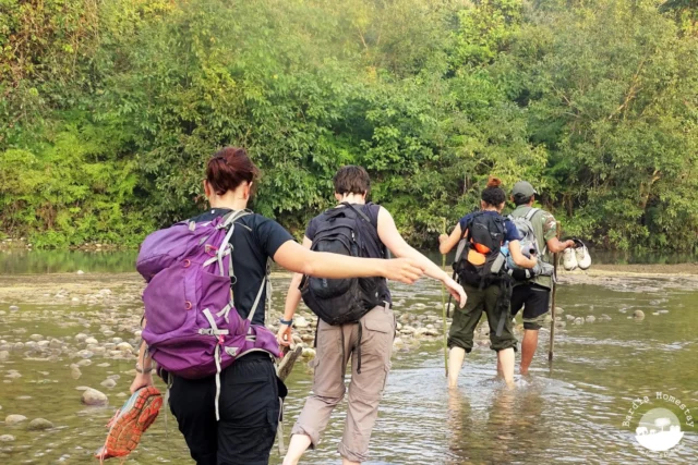 Jungle walk Bardia National Park