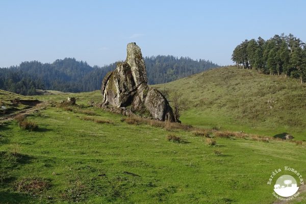khaptad-national-park-11052017-3 Khaptad National Park near Khaptad Camp