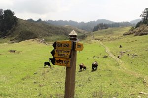 Khaptad National Park