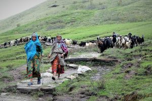 Khaptad National Park Nepal