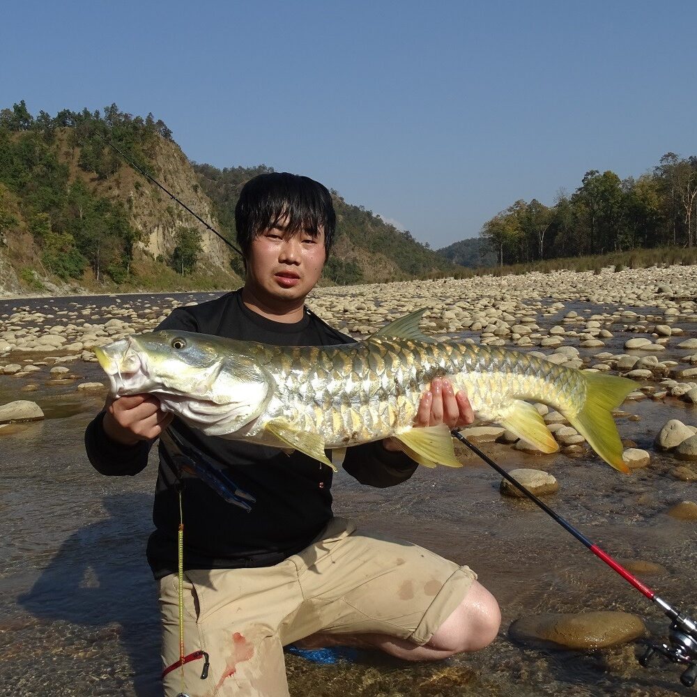 golden-mahseer-babai-valley-bardia-national-park-nepal Mahseer fishing Bardia National Park