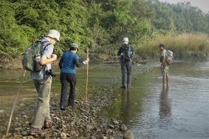Bardia National Park Jungle walk