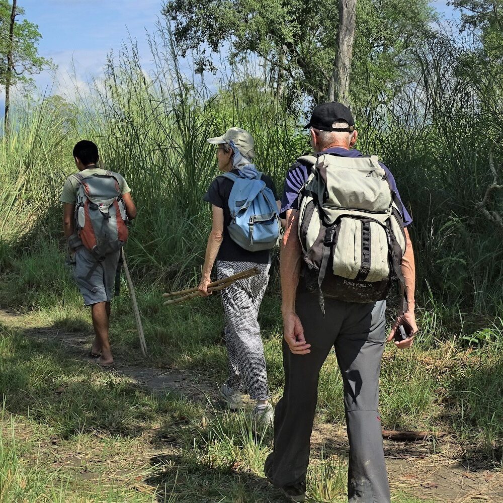 Jungle walk Bardia National Park Nepal Jungle walk Bardia National Park Nepal