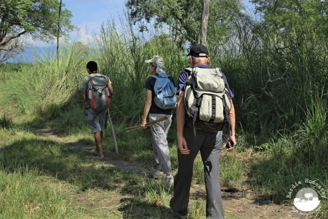 jungle walk Bardia National Park Nepal