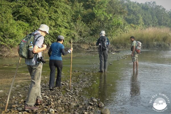 Jungle walk Bardia National Park Jungle walk Bardia National Park