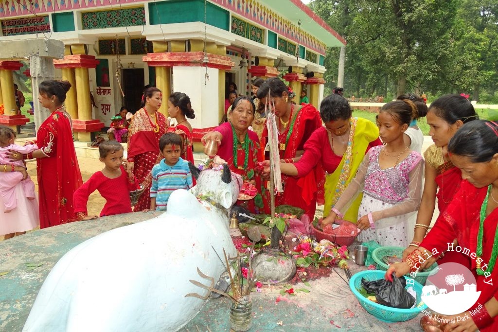 Teej temple offers Bardia