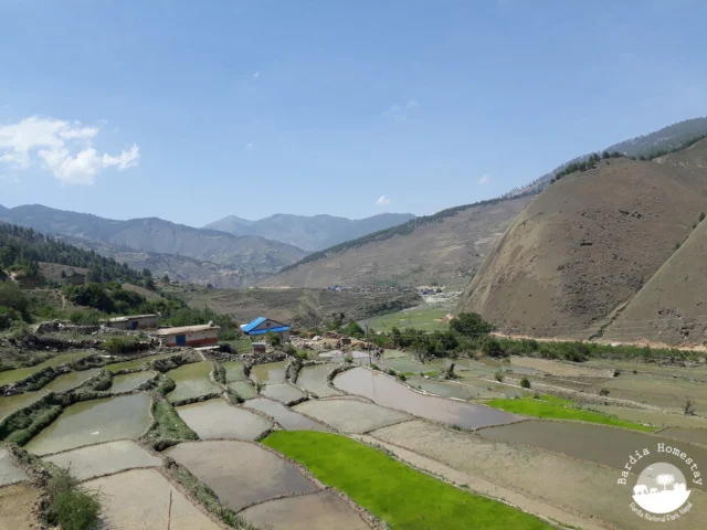 Sinja Valley Jumla Nepal