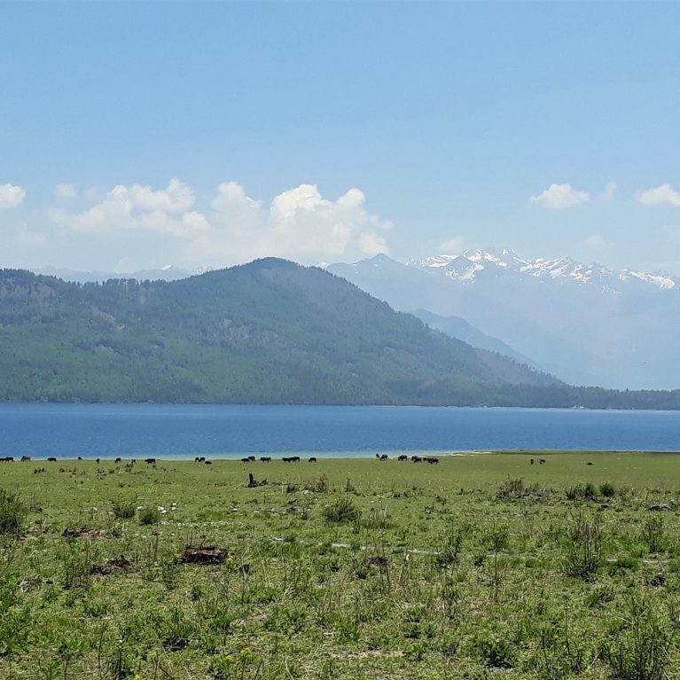 Rara Lake Nepal Rara Lake Rara National Park Nepal