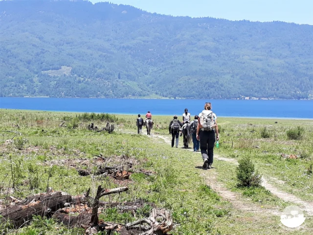 Trekking Rara National Park Nepal