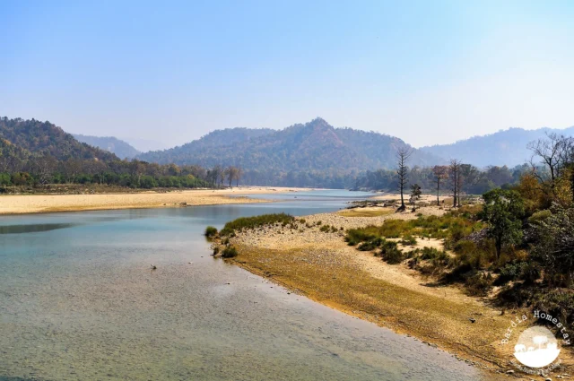 Babai Valley Bardia National Park Nepal
