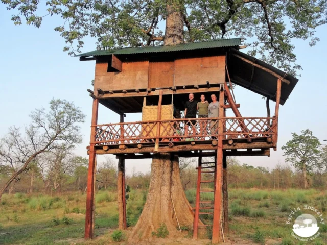Treehouse Bardia National Park Nepal