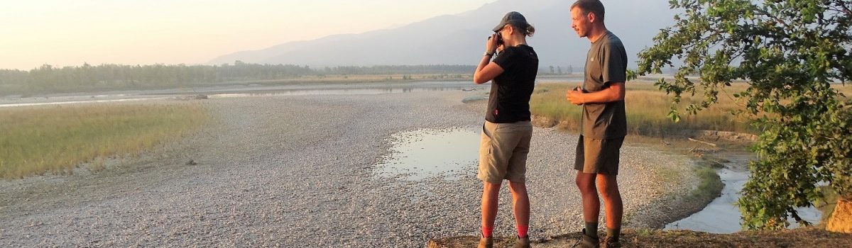 Wildlife spotting Bardia National Park Nepal Wildlife spotting Bardia National Park Nepal