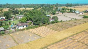 Drone view countryside Bardia Homestay Nepal