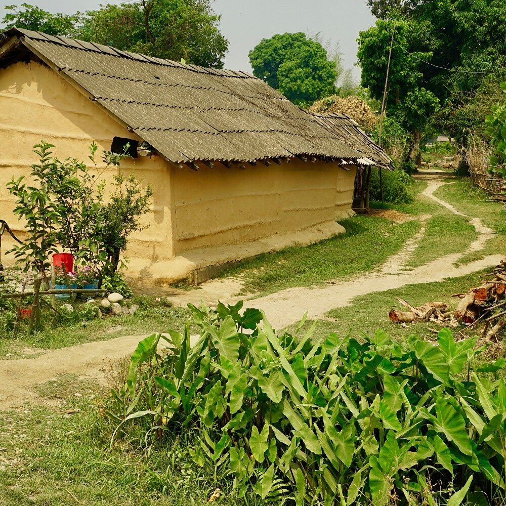 tharu-house-culture-bardia-national-park-nepal ST Tharu house Bardia National Park Nepal
