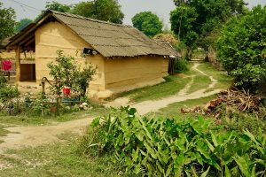Tharu house Bardia National Park Nepal