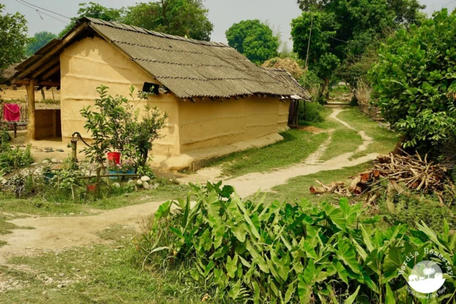 Tharu house Bardia National Park Nepal