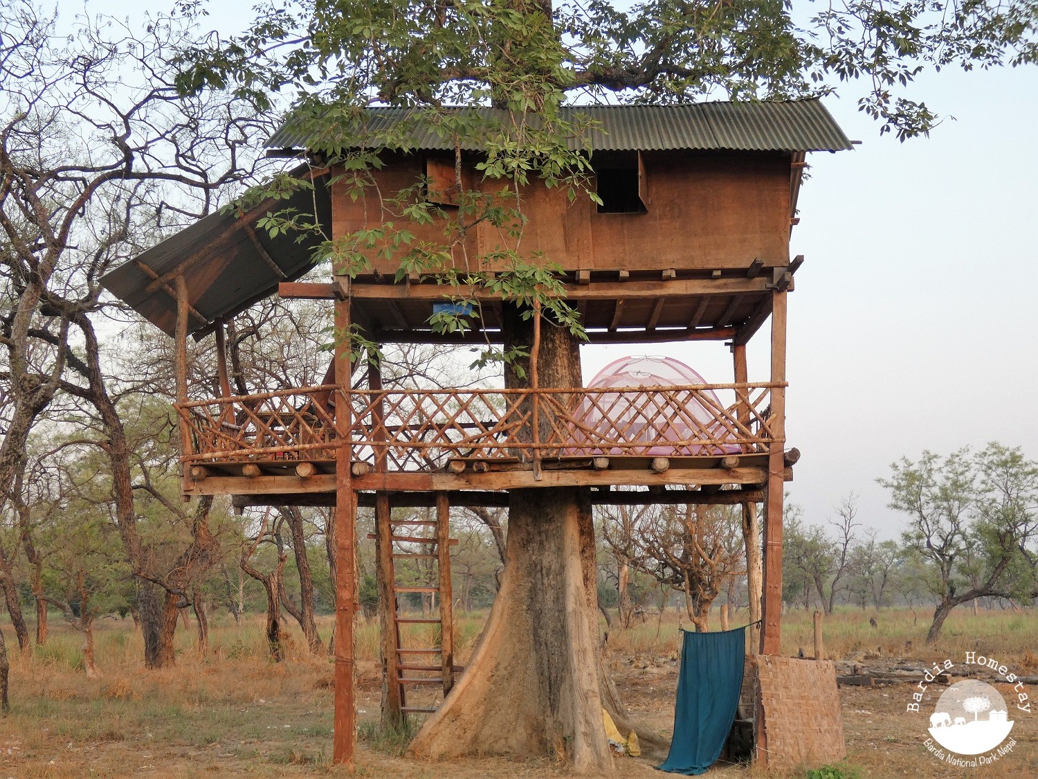 Treehouse Bardia National Park
