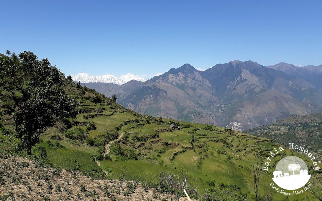 Khaptad National Park Far West Nepal