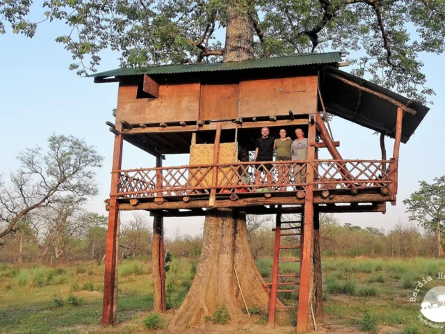 Treehouse Bardia National Park Nepal