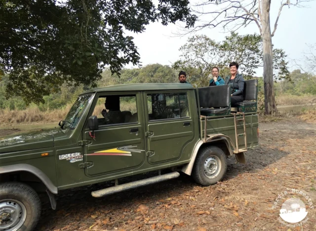 Jeep safari Bardia National Park