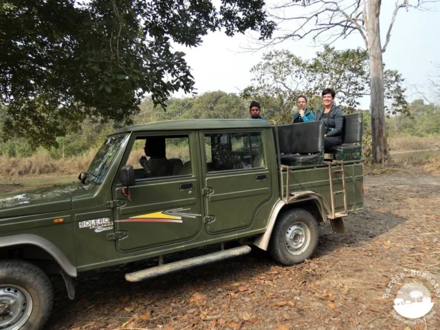 Jeep safari Bardia National Park