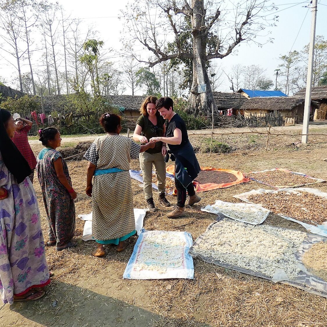 Meet locals walking tour countryside Bardia National Park Walking tour countryside Bardia National Park