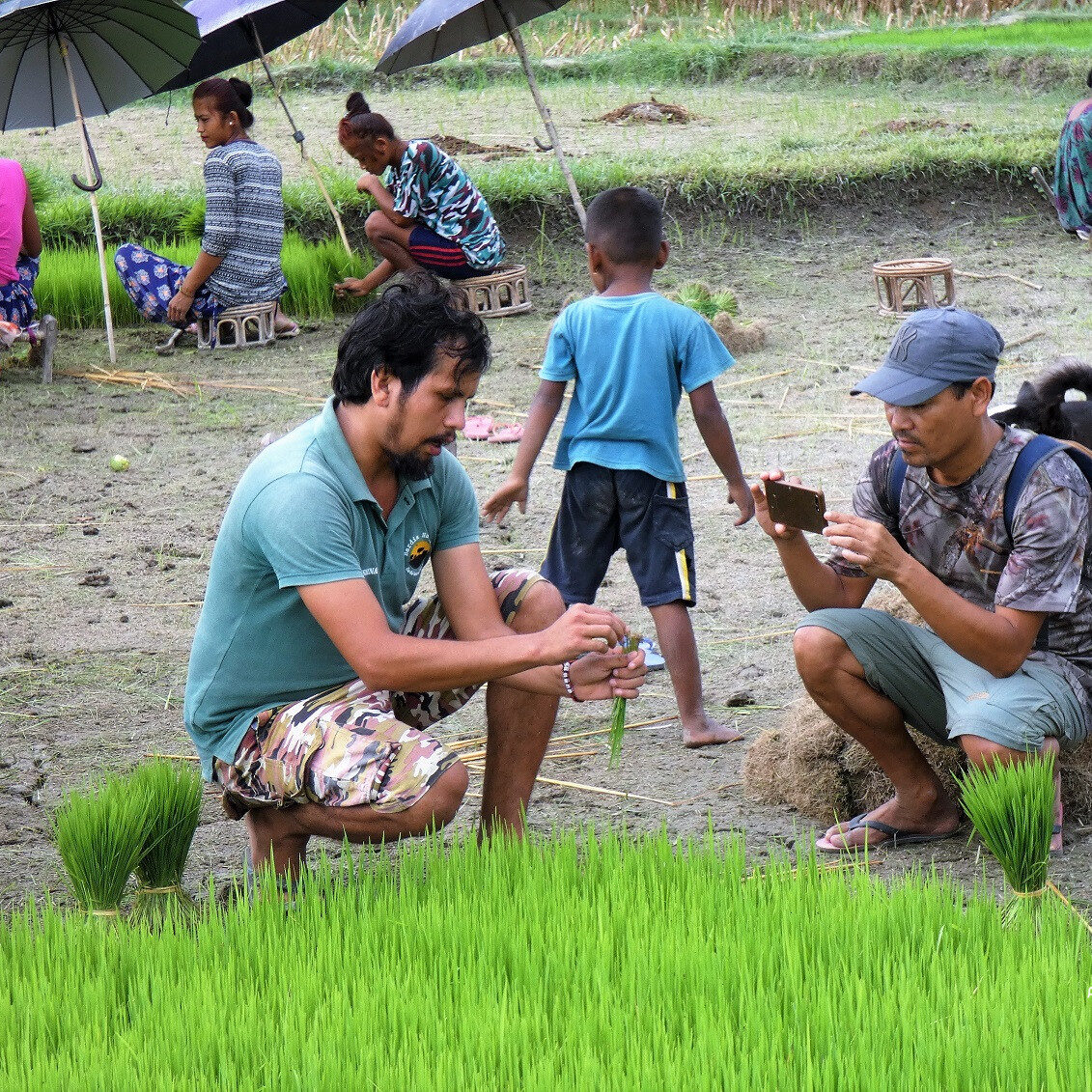 Tharu farming virtual tour small Virtual Tour Tharu Farming